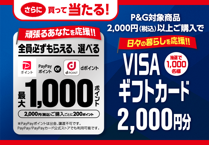 VISAギフトカード 2,000円分